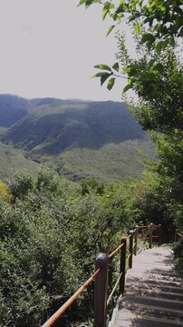 Hallasan National Park, Jeju island, South Korea, vibrant view of trail with a wooden ladder path stairs, trekking and climbing, stairway to Halla mountain summit, hiking in Korea, Jeju-do, sunny day