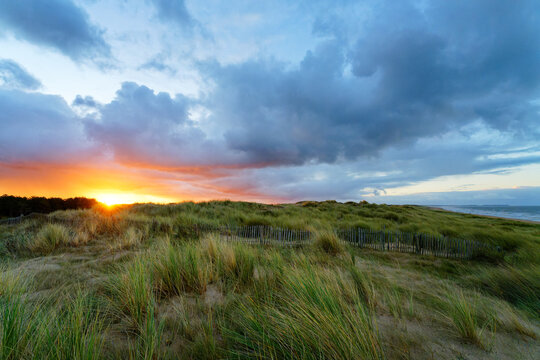 Dunes of Annoville, france's first classified dune site. normandy coast - Powered by Adobe