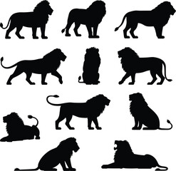 Lion silhouette collection, wild animal poses, majestic big cat icons, black vector lions, wildlife graphic set, flat vector illustration