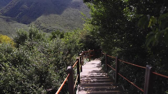 Hallasan National Park, Jeju island, South Korea, vibrant view of trail with a wooden ladder path stairs, trekking and climbing, stairway to Halla mountain summit, hiking in Korea, Jeju-do, sunny day