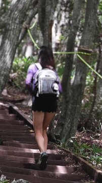 Hallasan National Park, Jeju island, South Korea, vibrant view of trail with a wooden ladder path stairs, trekking and climbing, stairway to Halla mountain summit, hiking in Korea, Jeju-do, sunny day