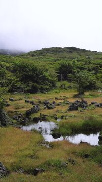 Hallasan National Park, Jeju island, South Korea, vibrant view of trail with a wooden ladder path stairs, trekking and climbing, stairway to Halla mountain summit, hiking in Korea, Jeju-do, sunny day