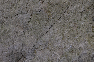 Stone Texture Close-Up Macro Shot
