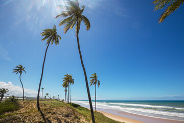 Brazil coast