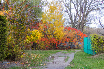 Autumn park pathway with colorful foliage and green trash bin beside walking trail in Warsaw Poland. High quality photograph.
