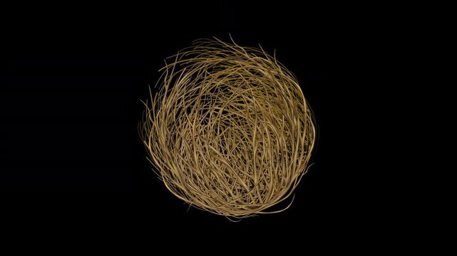 Tumbleweed isolated rotating in center of the screen on alpha background loop animation. Concept of Western, Silence, Desert, Deserted, Empty, Lonely, Dead, Unpopular.