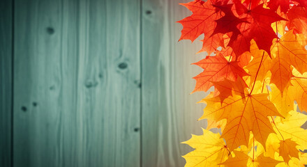 Colorful maple leaf composition against light teal wooden plank, creating natural seasonal contrast, representing fall, autumn, and seasonal change