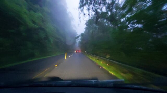 POV of a car driving along a curvy, wet road surrounded by dense forest and covered in mist or fog. 