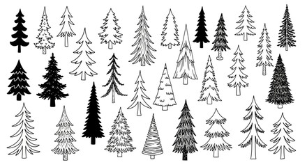 Fototapeta premium Collection of Hand-Drawn Christmas Trees Festive Forest Elements for Design and Decoration