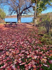 park bench in autumn
