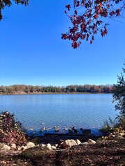 Lake view in the autumn