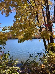 autumn by the lake