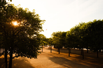 Sonnenuntergang an der Elb-Promenade in Dresden