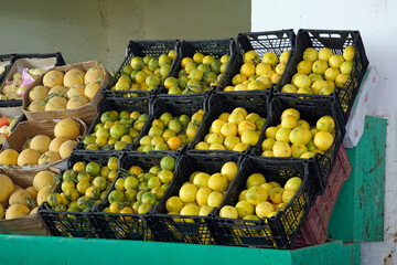 fresh vegetables on the bedouin market in El Quseir