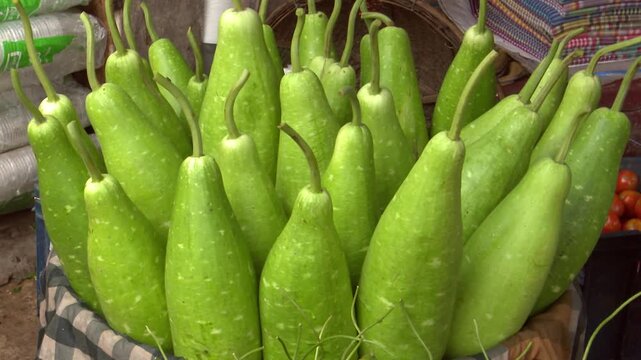 Pile of Fresh Bottle Gourds on Display at Market Stall