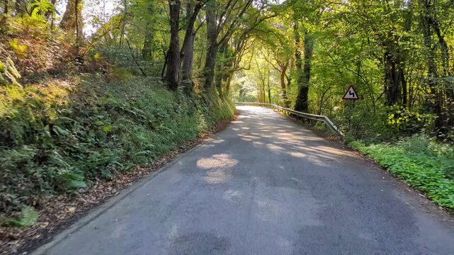 Subjective view while riding a bicycle along the local road in a forest in Cereceda village, Pilona, Asturias, Spain