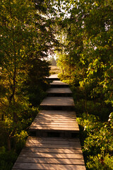 Befestigter Wanderweg mit Stufen am Brocken im Harz