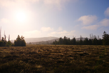 Wiese Bei Sonnenaufgang Brocken Harz
