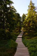 Befestigter Wanderweg am Brocken im Harz