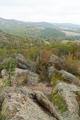 Fototapeta premium Mountain landscape panorama rocks stones trees forest Balkans autumn cloudy day nature