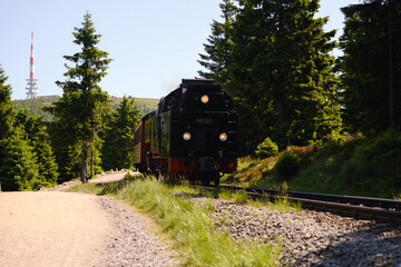 Brockenbahn / Harzer Schmalspurbahn im Sommer mit Brocken im Hintergrund