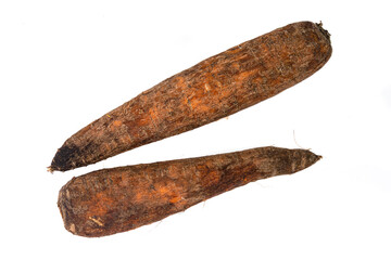 Rotten Carrots: Spoiled Produce, Decay, Edible Waste, and Kitchen Hygiene