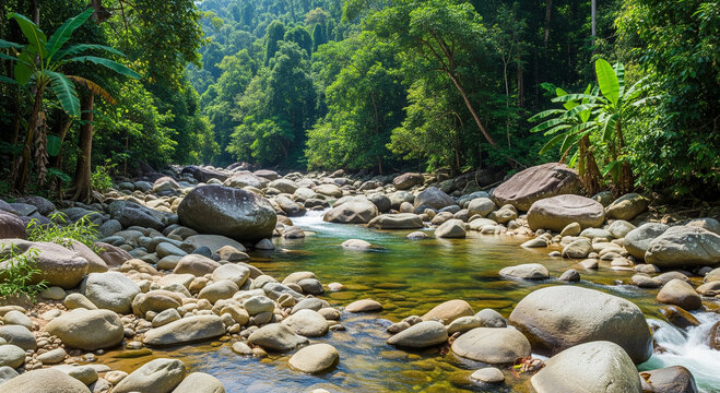 Scenic river flows through lush tropical rainforest with granite rocks