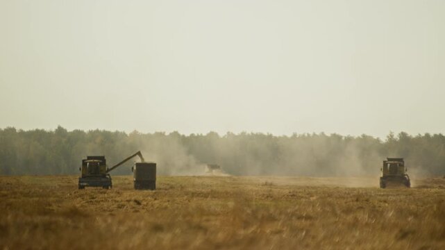 Wide angle shot of industrial crop harvesting operation with trucks and combine harvesters operating in field collecting and transporting grains with smoke and dust over landscape scene, copy space
