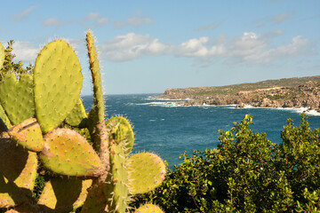 Santa Teresa Gallura
