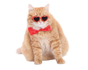 Obraz premium Cute ginger cat in red heart sunglasses and bow tie, isolated PNG on transparent background, funny Valentine pet clipart for cards, posters, and design projects.