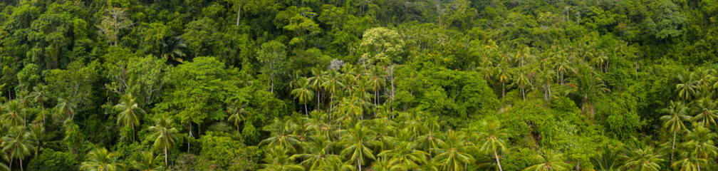 Tropical forest covers a remote island in the Banda Sea, Indonesia. This beautiful and remote region supports high biological diversity.