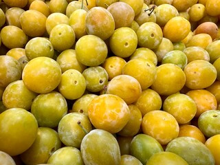 gros plan sur des prunes jaune chez un producteur bio