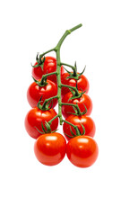 Ripe cherry tomatoes on vine transparent background