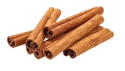 Cinnamon sticks spice for sweet and savory dishes