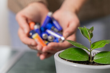 Toxic Energy. Hands holding used batteries above a small green plant in a pot, symbolizing the impact of toxic energy on the environment and sustainability