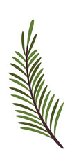 Pine sprig Christmas deign element