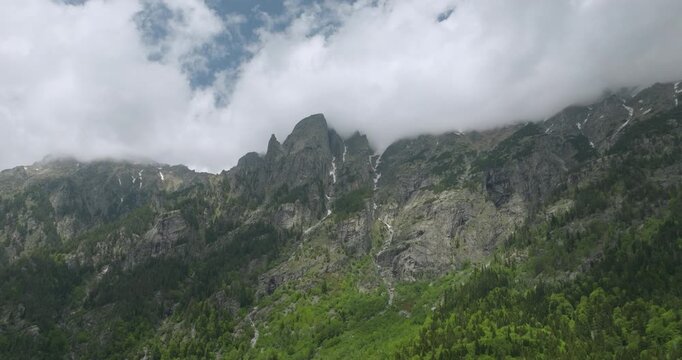 Aerial View of Rila Forest, Bulgaria