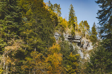 Wanderung durch die B&uuml;rser Schlucht, Wandern in &Ouml;sterreich, Vorarlberg im Herbst. 