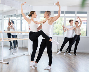 Fototapeta premium Focused graceful couple of ballet dancers showcasing skillful supports during group class in light-filled choreography studio