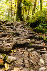 Wanderung durch die B&uuml;rser Schlucht, Wandern in &Ouml;sterreich, Vorarlberg im Herbst. 