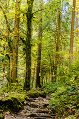 Wanderung durch die Bürser Schlucht, Wandern in Österreich, Vorarlberg im Herbst. 