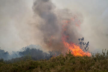 Wildfires fire burning with a lot of smoke, firefighters