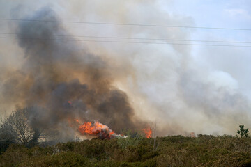 Wildfires fire burning with a lot of smoke, firefighters