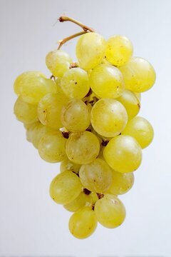 Un grappolo di uva bianca, con acini lucidi e maturi. Sfondo bianco.