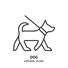 Dog line icon. Pet on a leash. Editable stroke. Vector illustration.