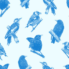 Blue forest birds seamless pattern. Toile de Jouy different species from European forests. Goldcrest, Thrush fieldfare, Robin. engraving, hatching style done with ink pen. 