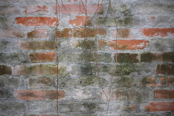 brick wall, texture, background, old wall, rustic, Old brick wall with weathered plaster, moss, and dry climbing vines. Natural rustic texture suitable for backgrounds, design elements, or architectur