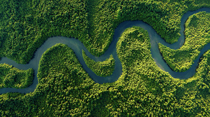 Fototapeta premium Generative AI, Aerial view of a winding river through a dense, green rainforest. Top-down drone shot of a jungle canopy, Amazon river, and natural environment background.