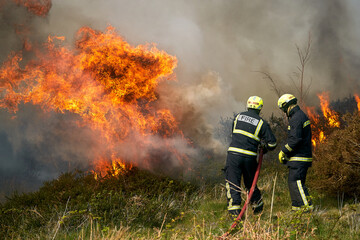 Wildfires fire burning with a lot of smoke, firefighters