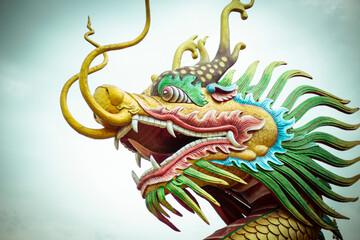 Asian dragon side head portrait on a bright soft background
